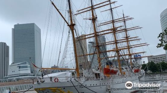Yokohama Port Museum experience image 3