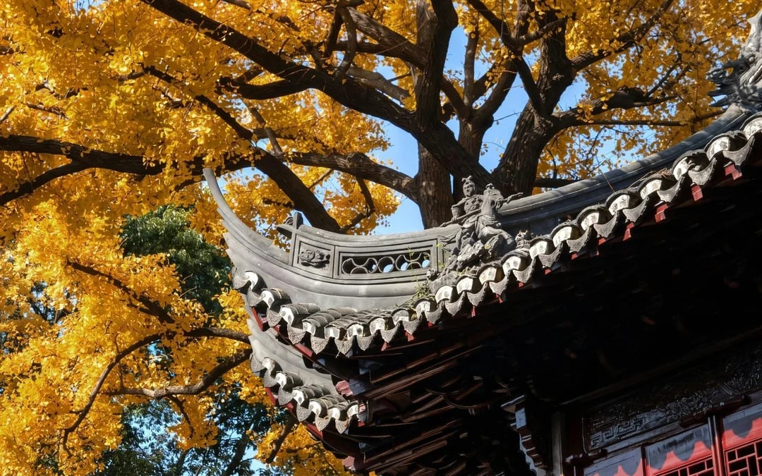 Yu Garden Tickets Image 12