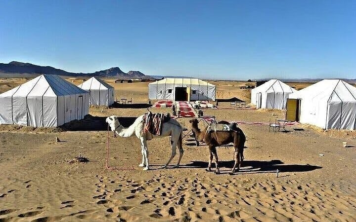 Zagora Overnight Desert Adventure Beneath the Stars - Marrakech Image 5