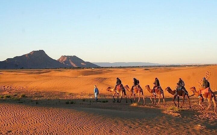 Zagora Overnight Private Desert Camp & Camel Trek - Marrakech Image 9