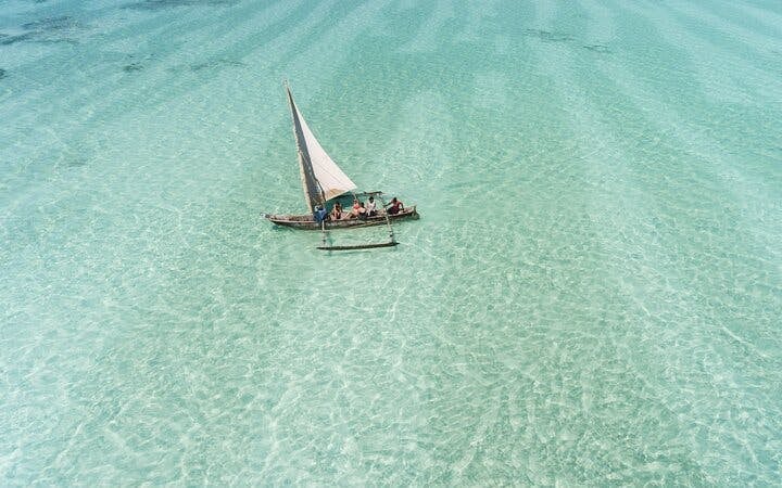 Zanzibar Beach Holiday and Nyerere National Park Safari Guided Tour Image 9