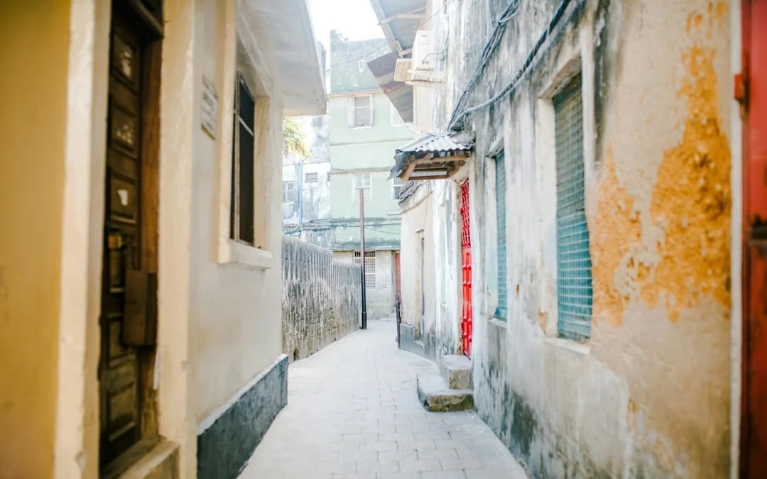Zanzibar: Private Customizable Island Tour with Driver-Guide Image 7