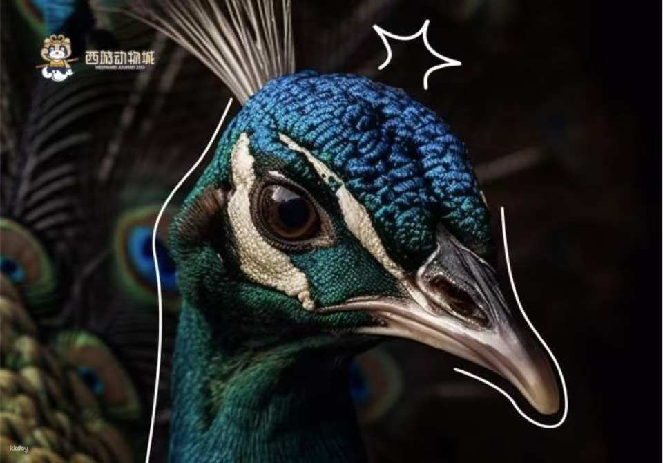[Zhuhai] Journey to the West Animal City (Zhuhai Impression City Store) Discounted Tickets | Indoor Pet Paradise for Families