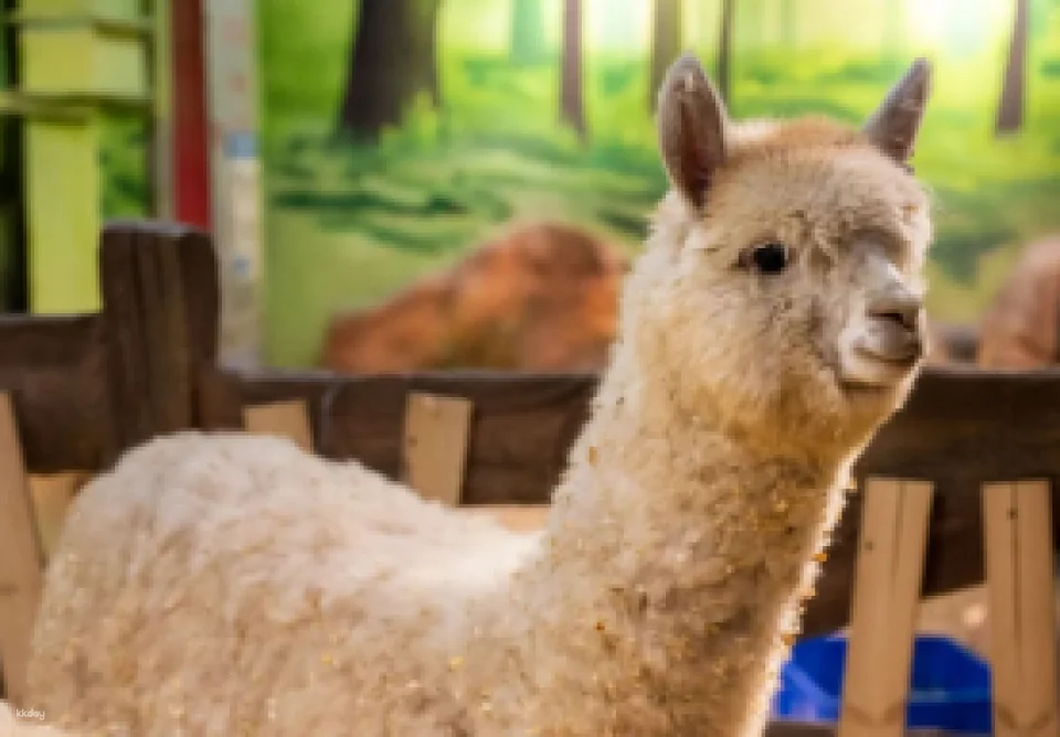 [Zhuhai] Journey to the West Animal City (Zhuhai Impression City Store) Discounted Tickets | Indoor Pet Paradise for Families
