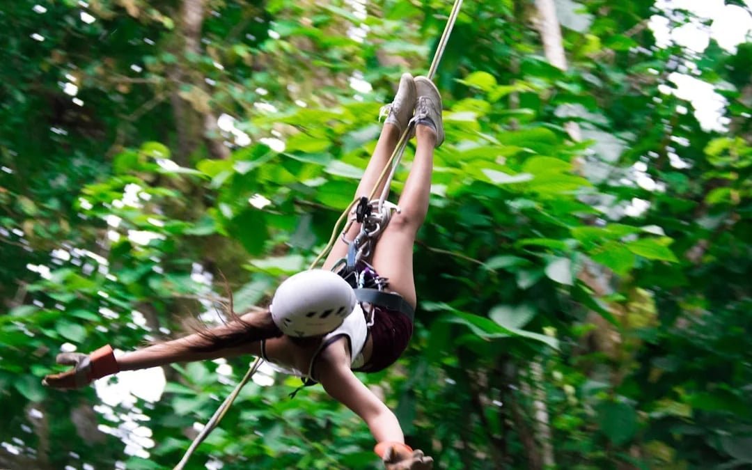 Zipline Canopy Tour in the Rainforest near Manuel Antonio Image 3
