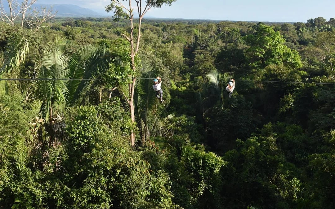 Zipline Canopy Tour in the Rainforest near Manuel Antonio Image 4