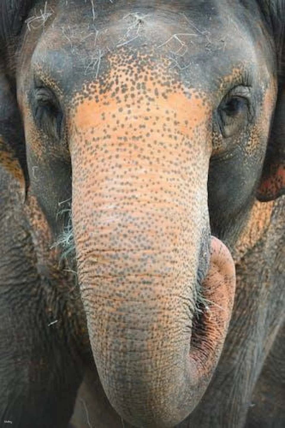 Zoo Miami general admission tickets or food package