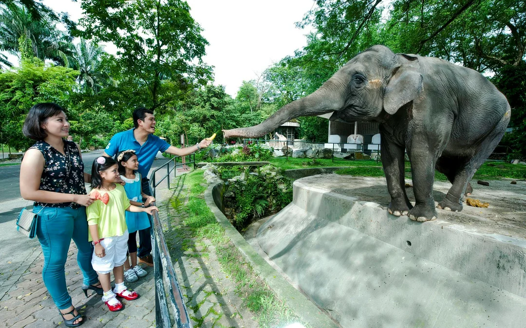 Zoo Negara & Panda Conservation Centre Tickets Image 2