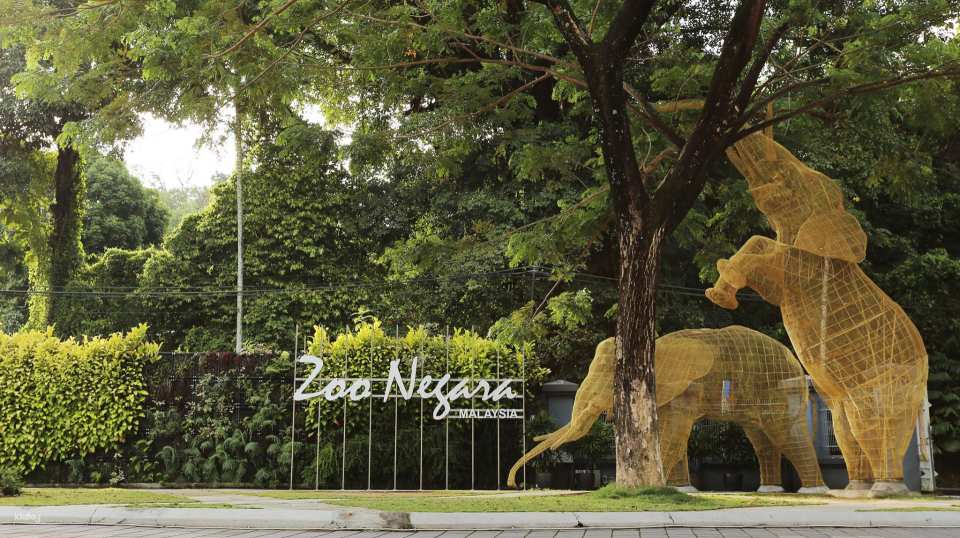 Zoo Negara Malaysia Admission Ticket | Selangor