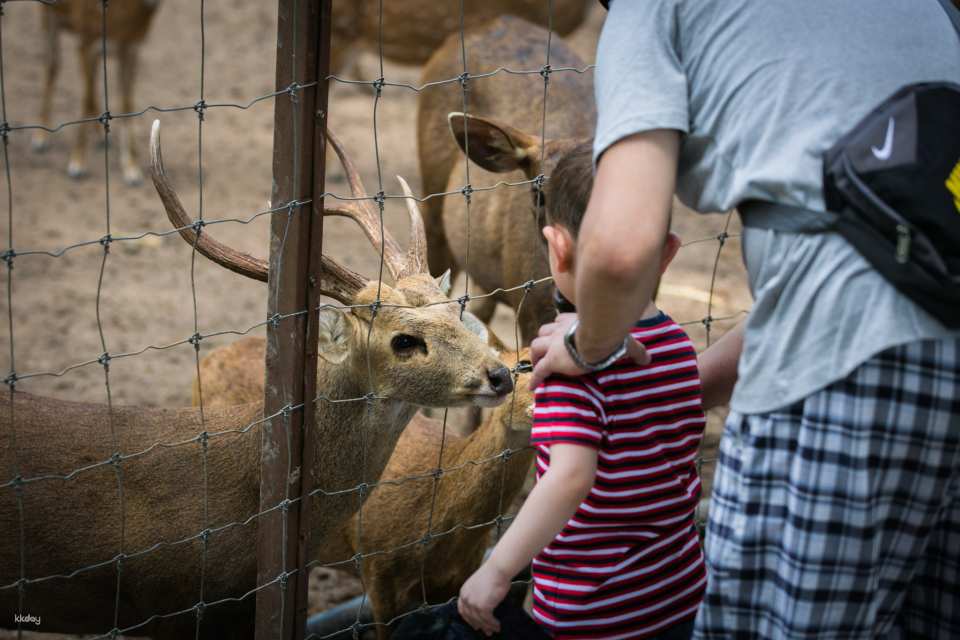 Zoo Negara Malaysia Admission Ticket | Selangor