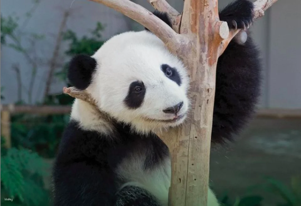 Zoo Negara Malaysia Admission Ticket | Selangor