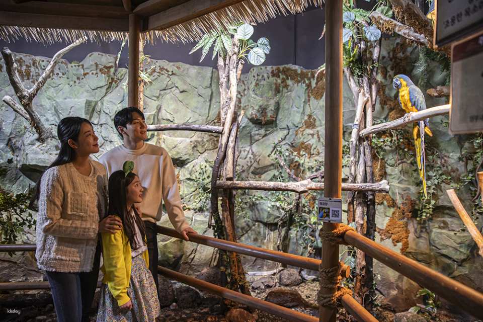 Zoolung Zoolung Indoor Animal Theme Park Discount Ticket (Yeongdeungpo Branch) | Seoul, South Korea