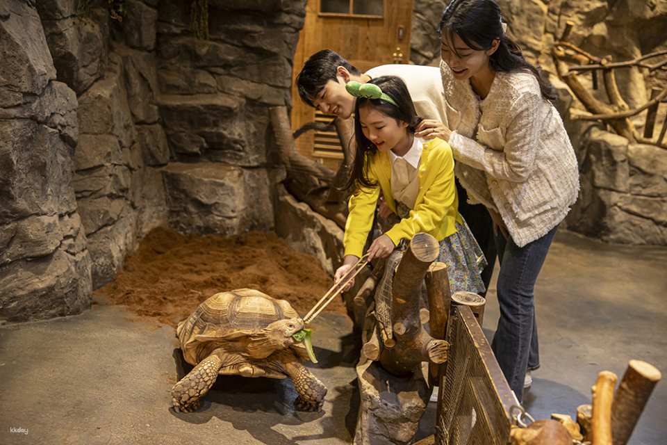 Zoolung Zoolung Indoor Animal Theme Park Discount Ticket (Yeongdeungpo Branch) | Seoul, South Korea