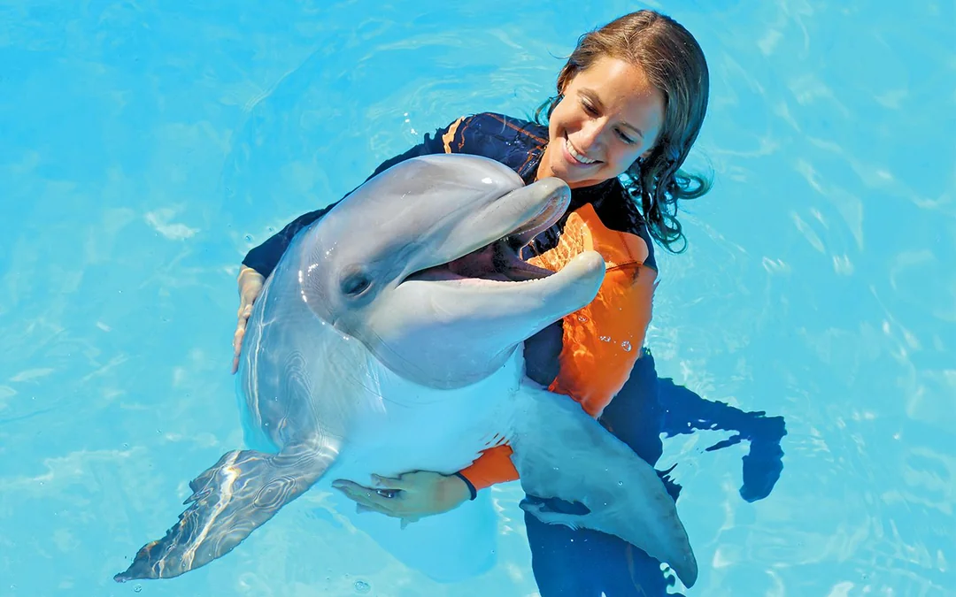 Zoomarine Algarve Entry Tickets with Dolphin Emotions Experience Image 1