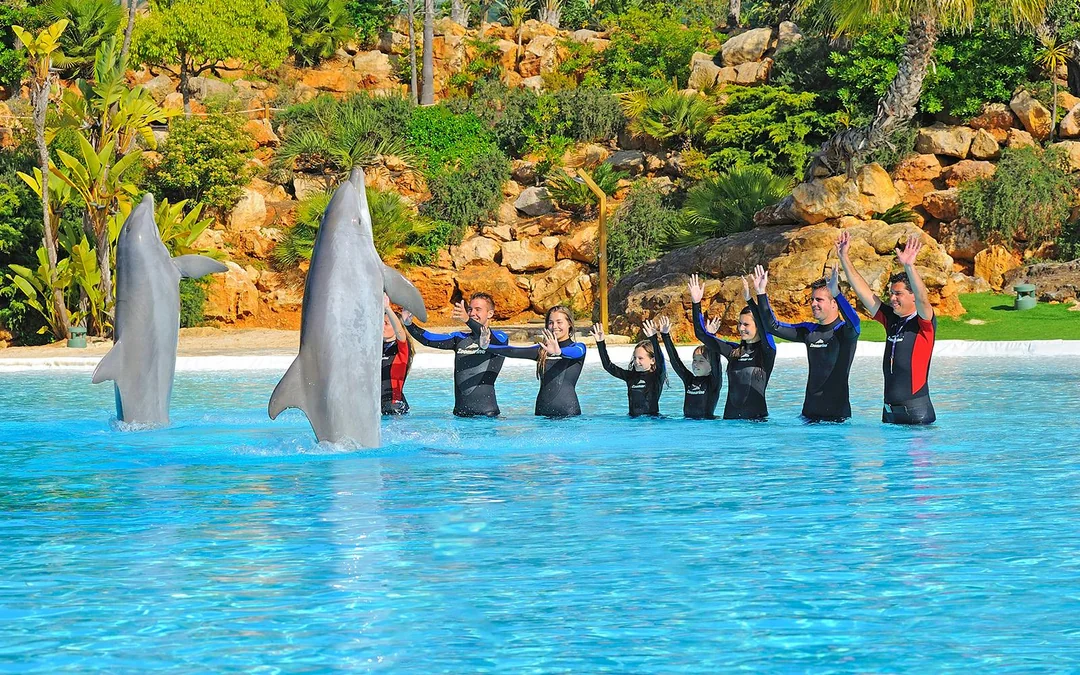 Zoomarine Algarve Entry Tickets with Dolphin Emotions Experience Image 2