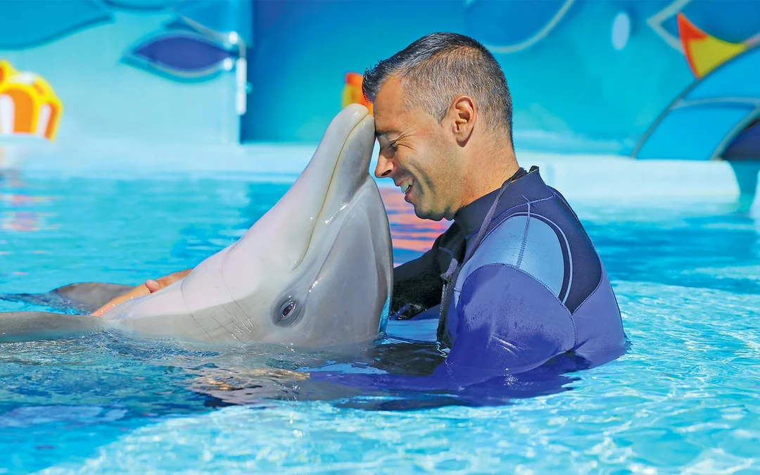 Zoomarine Algarve Entry Tickets with Dolphin Emotions Experience Image 4