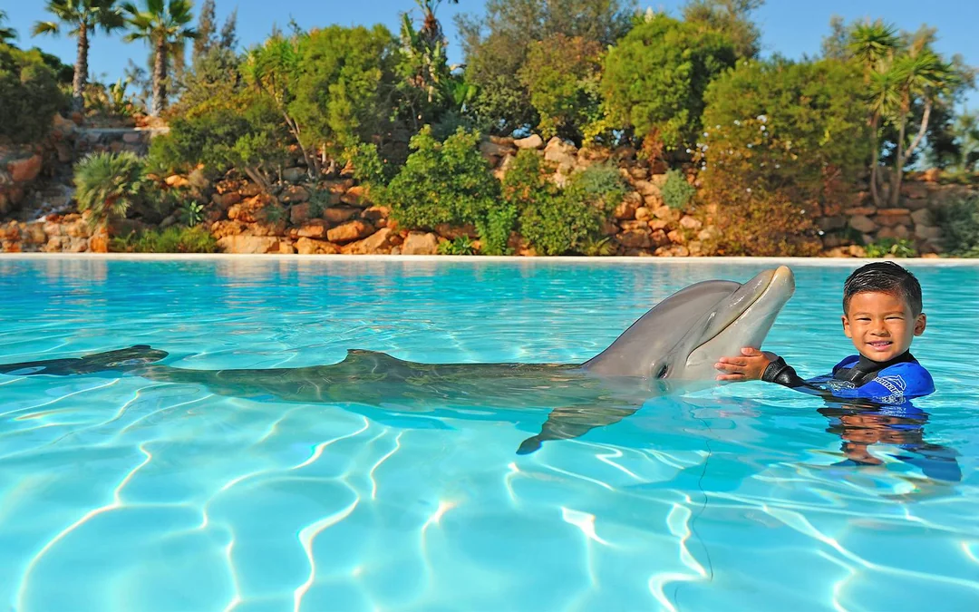 Zoomarine Algarve Entry Tickets with Dolphin Emotions Experience Image 5