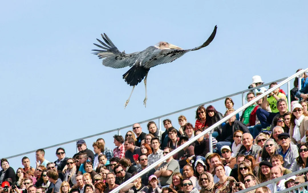 ZooParc de Beauval 1-Day Entry Ticket Image 2