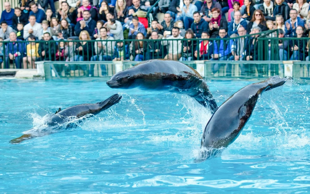 ZooParc de Beauval 1-Day Entry Ticket Image 3