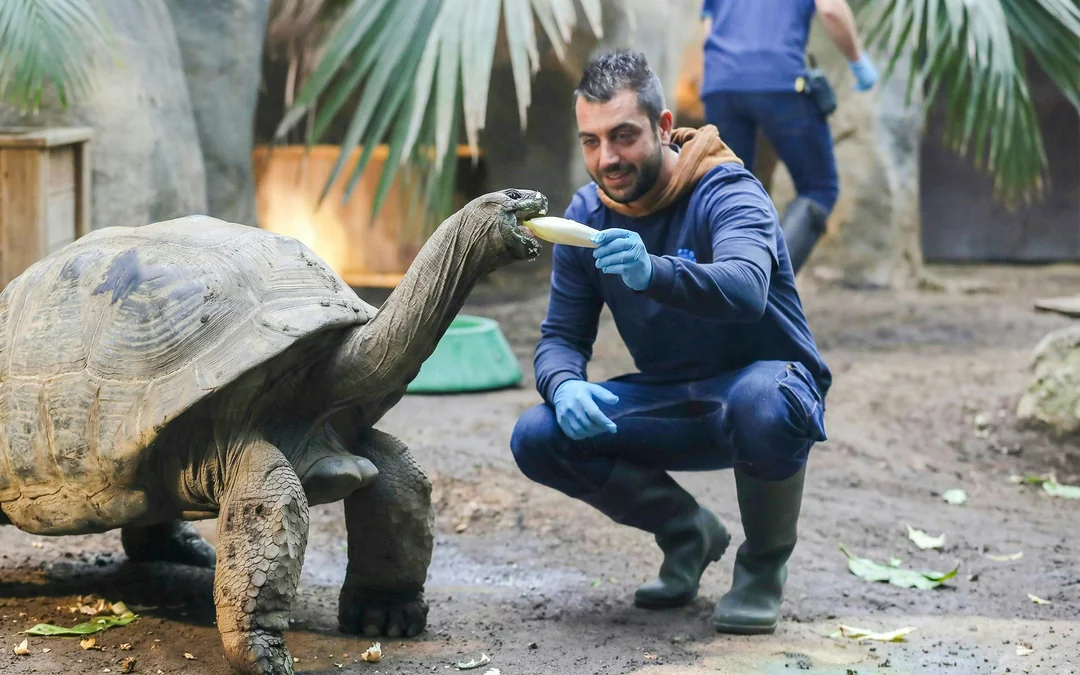 ZooParc de Beauval 2-Day Entry Ticket Image 1