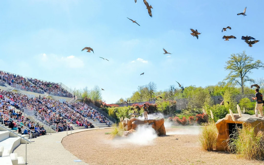 ZooParc de Beauval 2-Day Entry Ticket Image 4