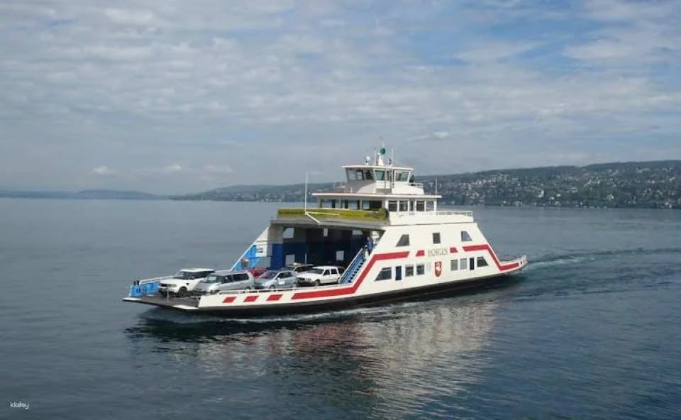 Zurich and surroundings guided tour